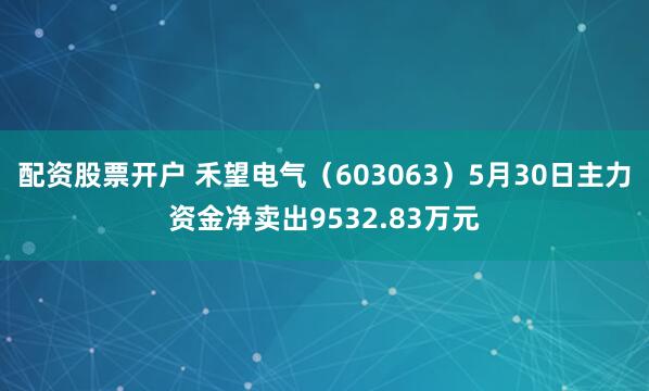 配资股票开户 禾望电气（603063）5月30日主力资金净卖出9532.83万元