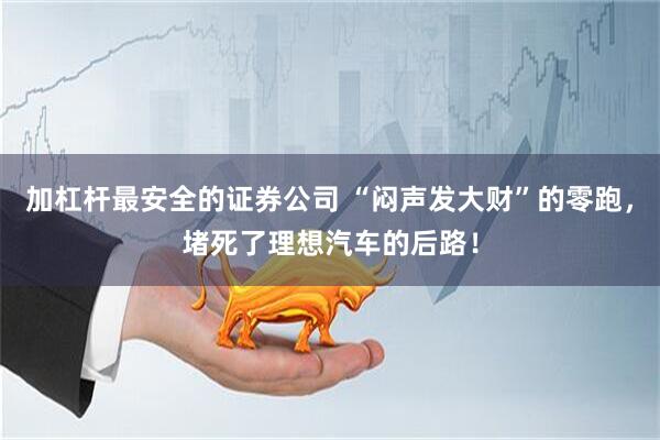 加杠杆最安全的证券公司 “闷声发大财”的零跑，堵死了理想汽车的后路！